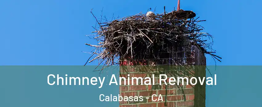  Chimney Animal Removal Calabasas - CA