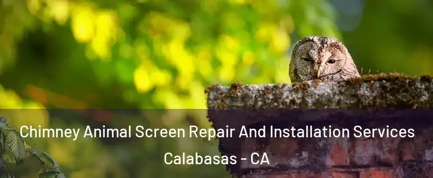 Chimney Animal Screen Repair And Installation Services Calabasas - CA