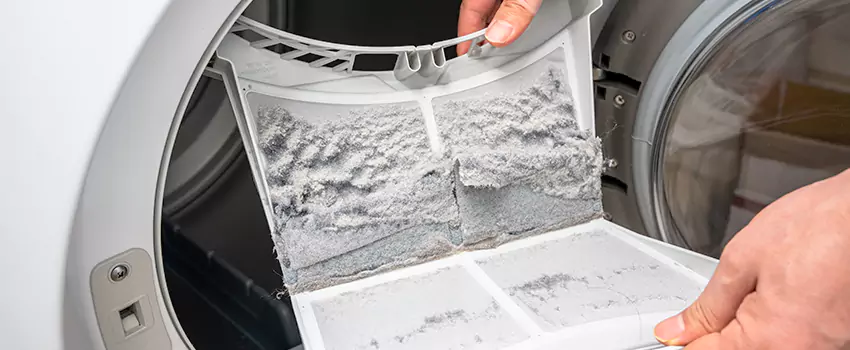 Best Dryer Lint Removal Company in Calabasas, California