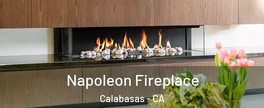  Napoleon Fireplace Calabasas - CA